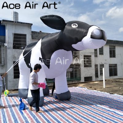 inflatable cartoon