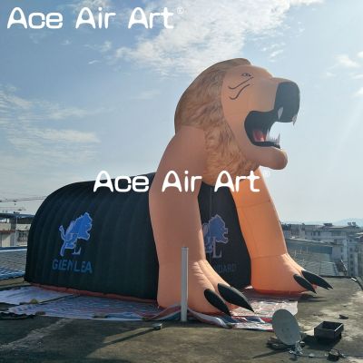 inflatable tent,inflatable,sports