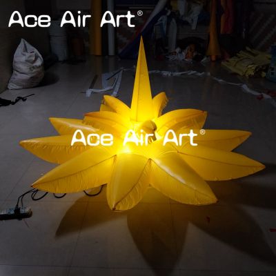 inflatable event decoration,LED light,Party,inflatable