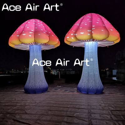 inflatable event decoration,LED light,Night club,Party,Trade show,event,inflatable