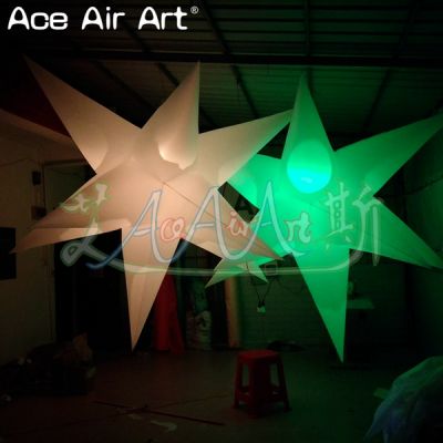 Advertising,Exhihibition,Party,concert,event,inflatable,music show,wedding