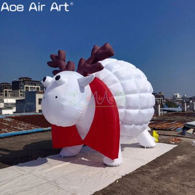 Exhihibition,custom,inflatable,oxford fabric,Advertising