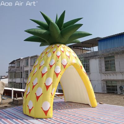 Advertising,Concession,Trade show,air blower,custom,event,inflatable,oxford fabric