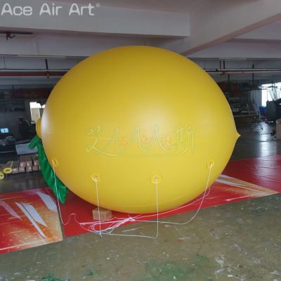 Advertising,Balloon,Party,custom,event,inflatable