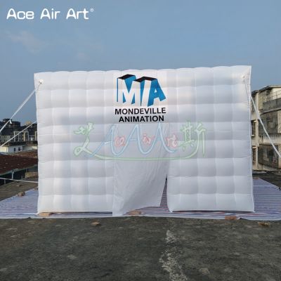 Advertising,Christmas decoration,Concession,Exhibition,LED light