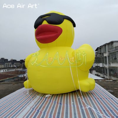 Advertising,Balloon,Concession,Gift