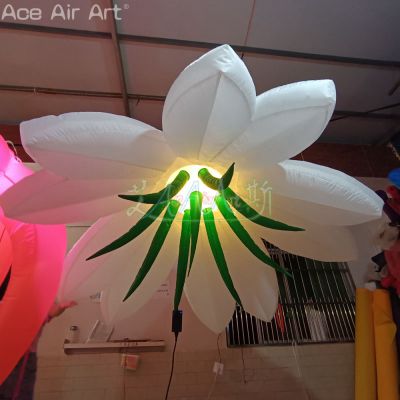 Advertising,Balloon,Exhibition,LED light,Party,air blower,custom,event,inflatable,oxford fabric,wedding