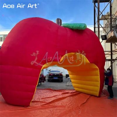 Advertising,Balloon,Exhibition,air blower,custom,oxford fabric