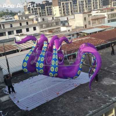 Advertising,Animal,Balloon,Concession,Exhibition,TV show,Trade show,air blower