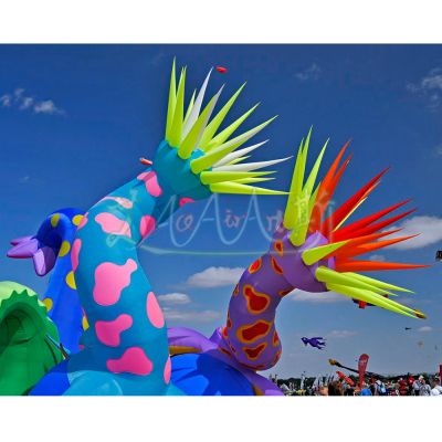 Animal,Balloon,Exhibition,Halloween decoration,LED light,Night club,Party,Trade show,air blower,custom,event,inflatable,music show,oxford fabric,wedding
