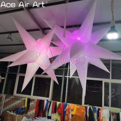 Advertising,Balloon,Christmas decoration,Concession,Exhibition,Gift,LED light,Night club,Party,custom,event,inflatable,music show,oxford fabric,wedding